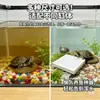 Nuevo Colector de Desechos para Tortugas para Acuario, Filtro de Fondo Purificador de Agua para Cría de Tortugas, Colector Automático de Desechos Raspador de Fondo, Diseño 3D