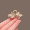 Lazo Ojo de Gato Pinza Pequeña para Agarre Accesorios para el Cabello Flequillo Delantero Pinza Pequeña Tocado Horquilla Semirrecogido Horquilla Accesorios para el Cabello de Alta Gama