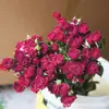 Multi-Cabezal Rosa Burbuja Flores Secas Rosa Ramo de Rosas Reales Marco de Flores de Resina de Yunnan Accesorios y Decoraciones Florales