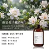 Recarga de Aceite Esencial de Aromaterapia de Osmanthus, Fragancia de Larga Duración, Especialmente Diseñado para Hoteles de Cinco Estrellas, Aceite Fragante, Regalo del Festival de Mediados de Otoño