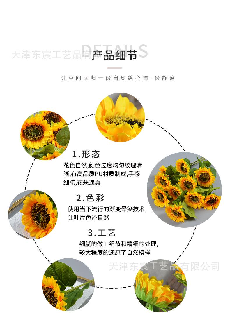 详情_05.jpg