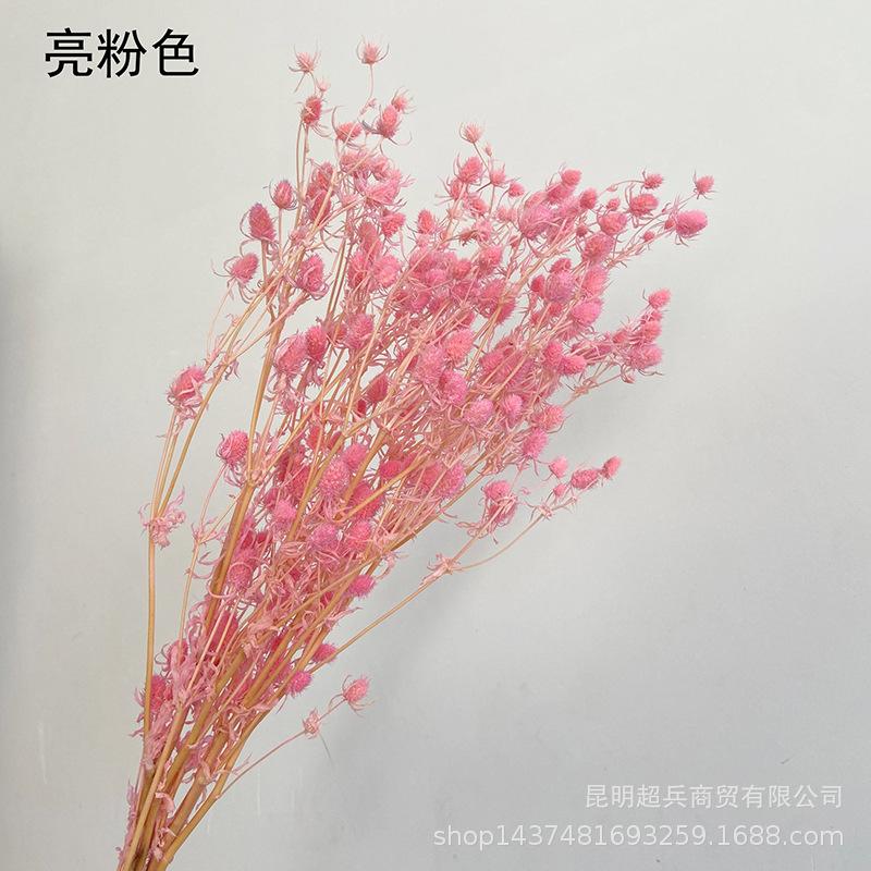 QQ图片20211215151131嗲.jpg