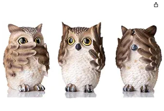 微信截图_20240121125935