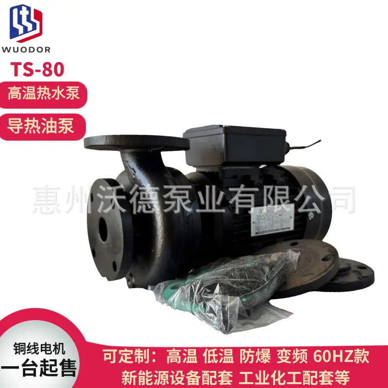 TS-80单相泵