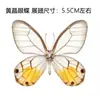 Venta Directa al Por Mayor de Fábrica de Especímenes Reales de Mariposas con Alas Extendidas, Diversos Insectos y Escarabajos, Accesorios para Fotos, Educación Científica, Especímenes Naturales