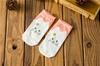 2021 nueva primavera y verano I coreano lindo dibujos animados gatito recto calcetines de barco de mujer calcetines invisibles de algodón calcetines al por mayor