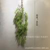 Simulación aguja de pino ratán colgante de pared material para pared de plantas decoración floral colgante hierba cola de pez ratán colgante techo de boda hierba de agua vid