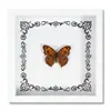 Espécime de Borboleta Real Decoração de Casa DIY Moldura de Madeira para Fotos Suprimentos de Pintura Decorativa Avançada Presente Moderno Presente Criativo