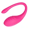 Control remoto APP vibrador simulación femenina control remoto vibrador masaje fábrica de suministros para adultos transfronteriza