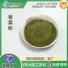 Polvo de Cilantro Deshidratado, Polvo Vegetal, Pastelería, Pasta, Colorante Alimentario, Aditivos Verdes, Polvo de Cilantro Seco, Venta al por Mayor