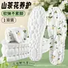 Plantillas Ultrabsorbentes de Flor de Camelia, Suaves y Cómodas, Alivian el Dolor, Absorben el Sudor, Resistentes al Olor, Transpirables, Engrosadas para Mujer, Se Sienten Como Caminar sobre Heces, No te Cansas Incluso Después de Estar de Pie Mucho Tiempo