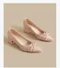 Sapatos de Salto Alto Mary Jane Femininos Estilo Francês Bico Fino Novos Elegantes para o Trabalho Primavera/Verão 2026