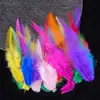 Venta Directa de Fábrica de Puntas de Plumas Blancas Cortas Materiales para Manualidades DIY Accesorios para Atrapasueños Juguetes para Mascotas Palo Atrapagatos Decoraciones