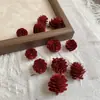 Paquete de materiales DIY hecho a mano flores mixtas plantas flores secas estilo bosque de jardín de infantes creación de anillos decoración piñas de Navidad
