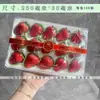 Adesivo de Cinto Cereja com Laço Adesivo Laser de Frutas Etiqueta Autoadesiva Adesivo de Caixa de Corte de Frutas