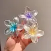2024 Nuevo Europeo y Americano Nuevo Versátil Elegante Simple Alto Nivel Pinza de Agarre Estilo Mismo de Celebridad de Internet Pinza de Tiburón