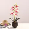Bonsái de Orquídea Mariposa de 7 Flores Decoración Floral Artificial para Sala de Estar, Estudio, Planta Verde Artificial Adorno Pequeño, Decoración de Escritorio de Oficina