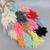 Ramo de Flores Secas de Hierba Cola de Conejo de Colores, Ramo de Muñeca de Flores Reales, Materiales DIY de Flores Eternas