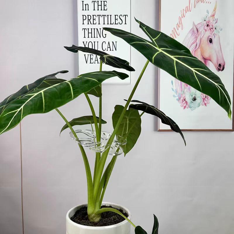 微信图片_20240808133324