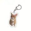Nuevo llavero acrílico de gato banana feliz gato feliz transfronterizo, colgante creativo de gatito