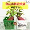 Cesta de Plantio Hidropônico para Aquário Suporte de Parede para Plantas Aquáticas Cesta de Plantio para Plantas Flutuantes Acessórios de Decoração para Paisagismo de Aquário