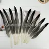 Acessórios para Joias Artesanais DIY Penas, Várias Penas de Faisão, Penas de Cor Natural Pura, Acessórios para Roupas
