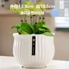 Maceta de Cerámica con Plato para Uso en el Hogar, Exquisita Estilo Ins Blanco Lujo Ligero Minimalista Estilo Crema Maceta para Orquídeas Suculentas