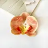 Orquídea Phalaenopsis Flor Artificial Phalaenopsis Cabeza de Flor Grande 9cm Cabeza de Flor Phalaenopsis Recuerdos para Bodas y Fiestas Decoración DIY Regalo