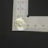 Serie de Puntos Transparentes Nueva Decoración Plana para Zuecos DIY y Accesorios al por Mayor