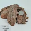 50g Casca de Pinheiro Natural Planta Simulada Miniatura Modelo de Mesa de Areia Paisagem Verde Paisagismo Casca Decoração de Jardim DIY