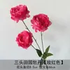 Decoração de Casamento com Materiais Florais Vermelho-Rosa, Folhas Artificiais, Rosas e Arranjos Florais para o Salão do Casamento e Painel de Fundo