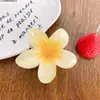 Grampo de Cabelo Flor de Ovo Feminino Grampo de Cabelo Flor de Verão 2025 Novo Grampo Jacaré para Parte de Trás da Cabeça Grampo de Alto Valor de Cor Acessório de Cabelo