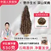 Hongos Morel Secos, No Silvestres, 500g, Ingredientes para Sopa de Champiñones Frescos, Caja de Regalo Tienda Insignia, Matsutake de Yunnan