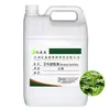 Óleo de Artemísia, Óleo de Artemísia, Sabonete de Óleo Essencial, Óleo de Massagem, Matérias-Primas para Óleo de Moxabustão, Aromaterapia Natural de Plantas