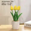 Plantas Verdes Simples Suculentas de Plástico em Vaso Ornamento para Sala de Estar Mesa de Jantar Flores Artificiais Decorações Ornamento Flores Biomórficas