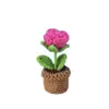 Mini Plantas en Maceta Tejidas a Mano - Venta al por Mayor Directamente de Fábrica y Dropshipping - Decoración de Interiores de Coche y Regalo