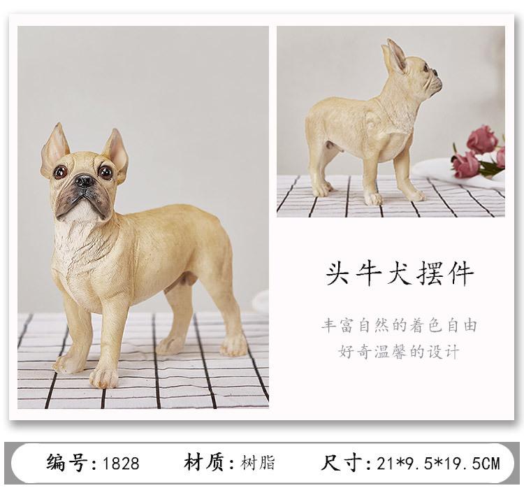 法国斗牛犬_09.jpg
