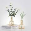 Estilo nórdico ins jarrón de metal de hierro forjado contenedor hidropónico tubo de ensayo decoración creativa para el hogar arreglo floral venta al por mayor transfronteriza