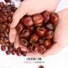 Yunnan Indonésia Fruta Preta Árvore Sino de Água Casca de Fruta Natural Sino de Vento Pingente de Planta Pacote de Material DIY Feito à Mão Ornamento para Pendurar Venda por Atacado