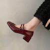 Zapatos Plateados Retro Franceses para Mujer con Tacón Grueso 2024 Primavera Punta Cuadrada Boca Baja Hebilla Única Estilo Universitario Zapatos Mary Jane