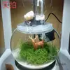 Acuario Esférico Redondo Espeso Extra Grande Acuario Redondo Transparente de Vidrio Ecológico Tanque de Vidrio de Escritorio Sala de Estar Mai Taibao