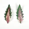 Explosiones calientes de comercio exterior 66 piezas de traje de planta verde artificial hojas de hierba acuática material de corona de ramo de rosas hecho a mano