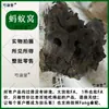 Ingrediente de Medicina Tradicional China Nido de Hormiga Bosque Primitivo de Myanmar Nido de Hormiga Negra Silvestre de Yunnan Nido de Hormiga Completo