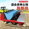 Sembradora de Ajo Eléctrica Empuje Manual a Gasolina Multihilera Tractor de Siembra de Ajo Profundidad Ajustable Tracción Sembradora de Ajo