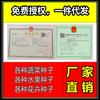 Fabricante Fonte Atacado Semente de Alface Outono e Inverno Saco Colorido Barraca de Sementes Originais Semente de Couve Chinesa Semente Muda Semente de Hortaliça