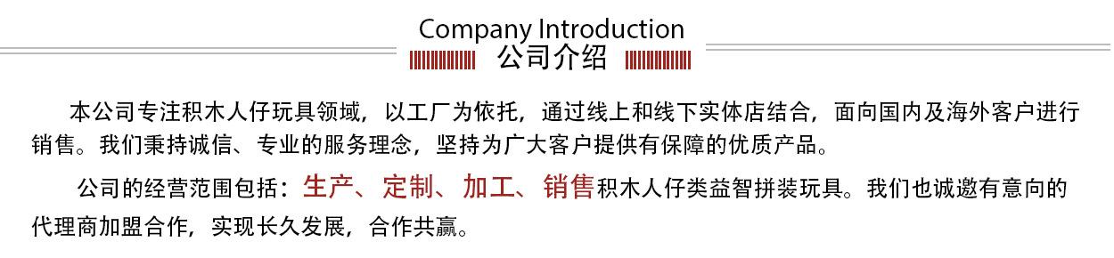 公司介绍-字放大