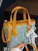 Bolsos Coreanos de Nicho de Moda para Mujer 2025 Nuevo Bolso Bandolera Casual de Hombro de Alto Valor Bolso Balde de Moda