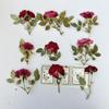 Ramificado pressão lateral rosa 6 tiro múltiplo natural seco flor em relevo noiva maquiagem papel planta espécime