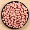 Novo Produto Amendoins Areia Branca Amendoins Rústicos Grão Grande Óleo de Feijão Amendoins Fritos Petisco Frio para Beber Amendoins Secos a Granel