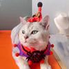 Amazon Explosions Halloween Pet Lã Coleira Gato e Cachorro Engraçado Chapéu de Malha Aranha Abóbora Cachecol